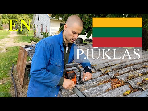 LITHUANIAN LESSON 221 - PJŪKLAS