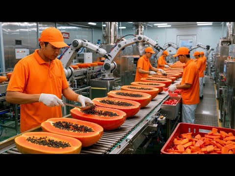 Inside a Modern Papaya Factory: From Farm to Dessert (The Whole Process)