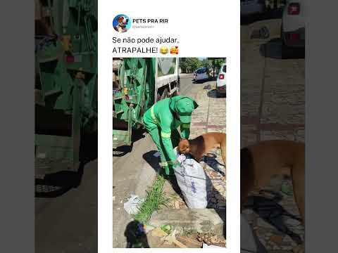 Se não pode ajudar, ATRAPALHE!😍❤️