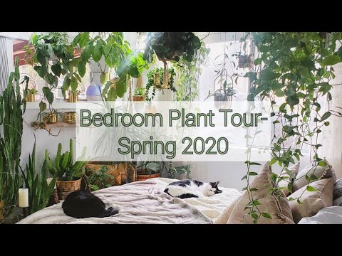 Bedroom Plant Tour-Spring 2020