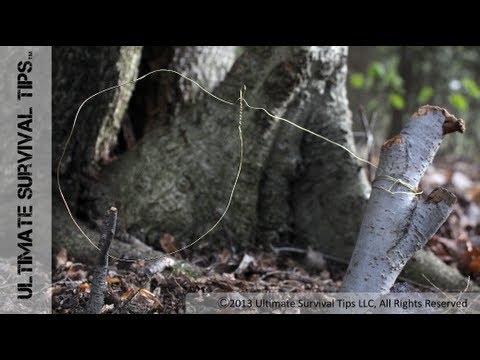 How to Make a Basic SNARE Trap with Paracord or Wire - Catch Your Own Survival Food