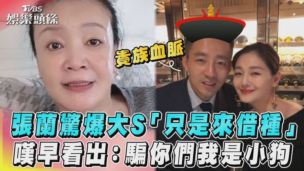 轟大S「一開始就是殺豬盤」!張蘭嘆早看出:嫁小菲為借個種
