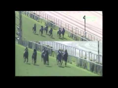 JUMP LADY - J.MOREIRA - Treinador: J.L.ARANHA