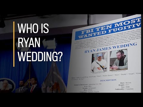 Who is Canadian fugitive Ryan Wedding?