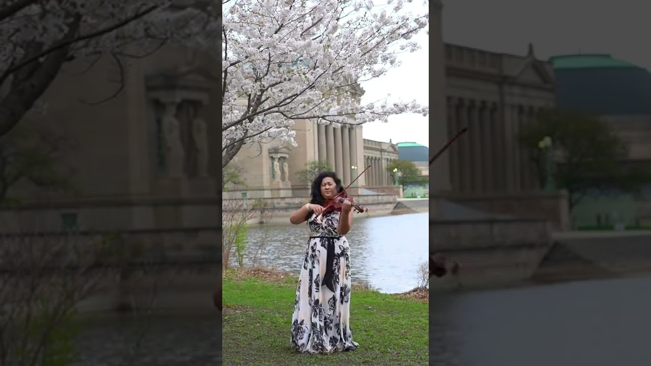 Promotional video thumbnail 3 for Chicago wedding violinist Tamila Viola