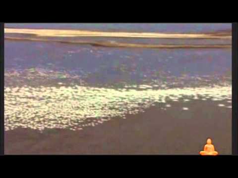 Buddha bar nature based birds