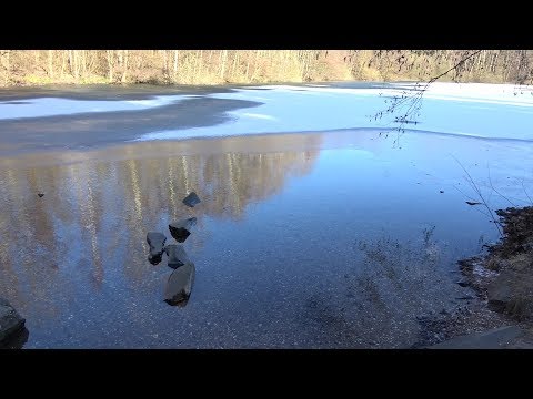 12-jähriger bricht in Eis ein im Röttgener See in Bonn am 27.02.18