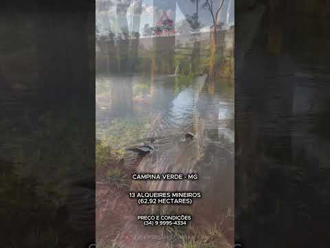 Fazenda à venda em Campina Verde Mg Rica em Água