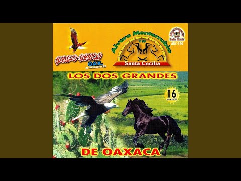 download lagu mp3 mp4 Accion Oaxaca Hombre De Ley, download mp3 Accion Oaxaca Hombre De Ley free download mp3, download mp3 Accion Oaxaca Hombre De Ley
