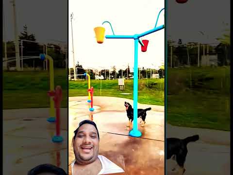 dog full masti me h full injoy dog