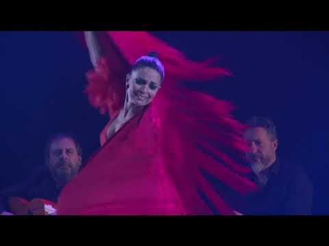 Alergía – Antonio Andrade cía. flamenca, feat. Ursula Moreno, Biel, Suiza, 2019