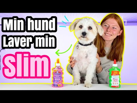 Min hund laver min slim!! Med Holly bag kameraet! //Emmes krea-verden//