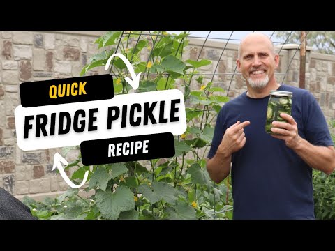Quick 6 Ingredient Refrigerator Pickle Recipe