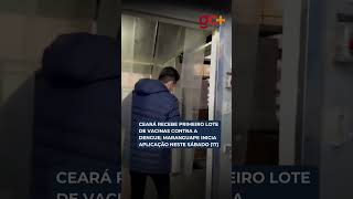 CEARÁ RECEBE PRIMEIRO LOTE DE VACINAS CONTRA A DENGUE; Maranguape inicia aplicação neste sábado (17)