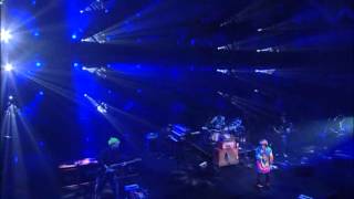 dolphin / 木村カエラ