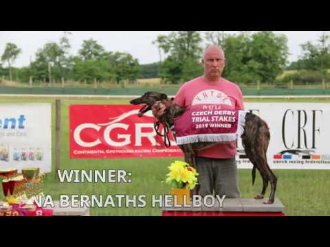 CZECH DERBY TRIAL STAKES 15/06/19