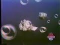 Noggin Commercials 01 28 2004