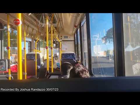 Transit Systems (Kingsgrove) 2476 ST • Scania K280UB.