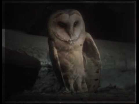 Neues aus Uhlenbusch Der kleine große Heiner (Folge 03)