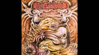 Defleshed-Many Mangled Maggots