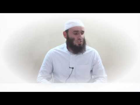 Vlera e Shamit - Ibrahim Sherifi