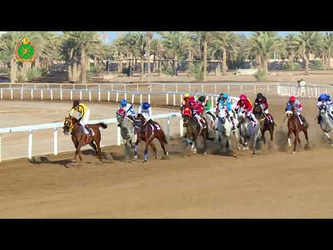 الشوط السادس- السباق الرابع - 10/11/2018 - Race 4 6th meeting