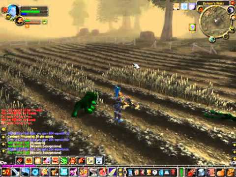 Joana UNEDITED 55-56 Western Plaguelands - Vanilla WoW 1-60 Speed Run