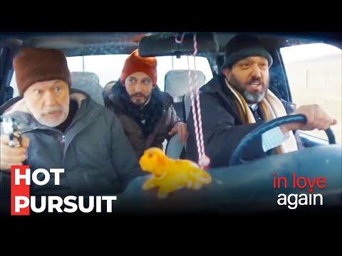 Derin Şevket And The Shiplads Are On Pursuit - In Love Again