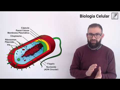 12. Biología Celular:  Clasificación de las células