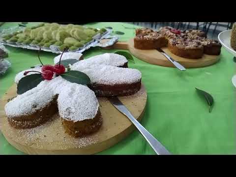 Saiu o resultado do 2º Concurso Árvores Gigantes do Rio Grande do Sul - Rio Grande Rural