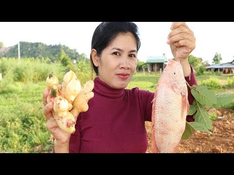 Cooking Grilled Red Fish With Ginger Recipe - Cook Fish Recipes -  Village Food Factory