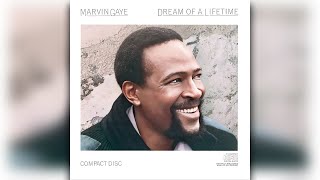 Marvin Gaye  - Dream Of A Lifetime