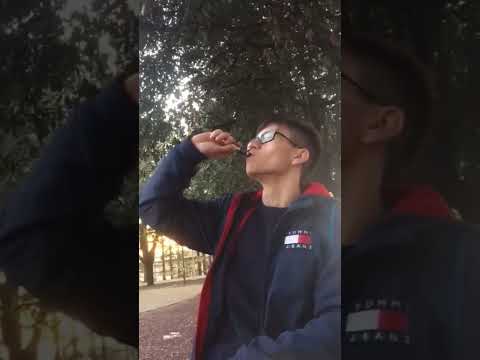 Provi a fumare per la prima volta e succede questo #viral #subscribe #trendingshorts #shorts