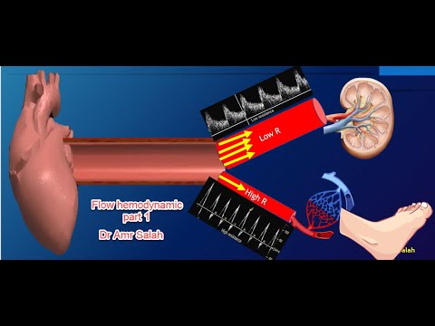 Flow hemodynamic part1  , Doppler ultrasound course 2021 (DR/Amr Salah)