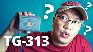 T&G TG 313 Unboxing and Minor Testing
