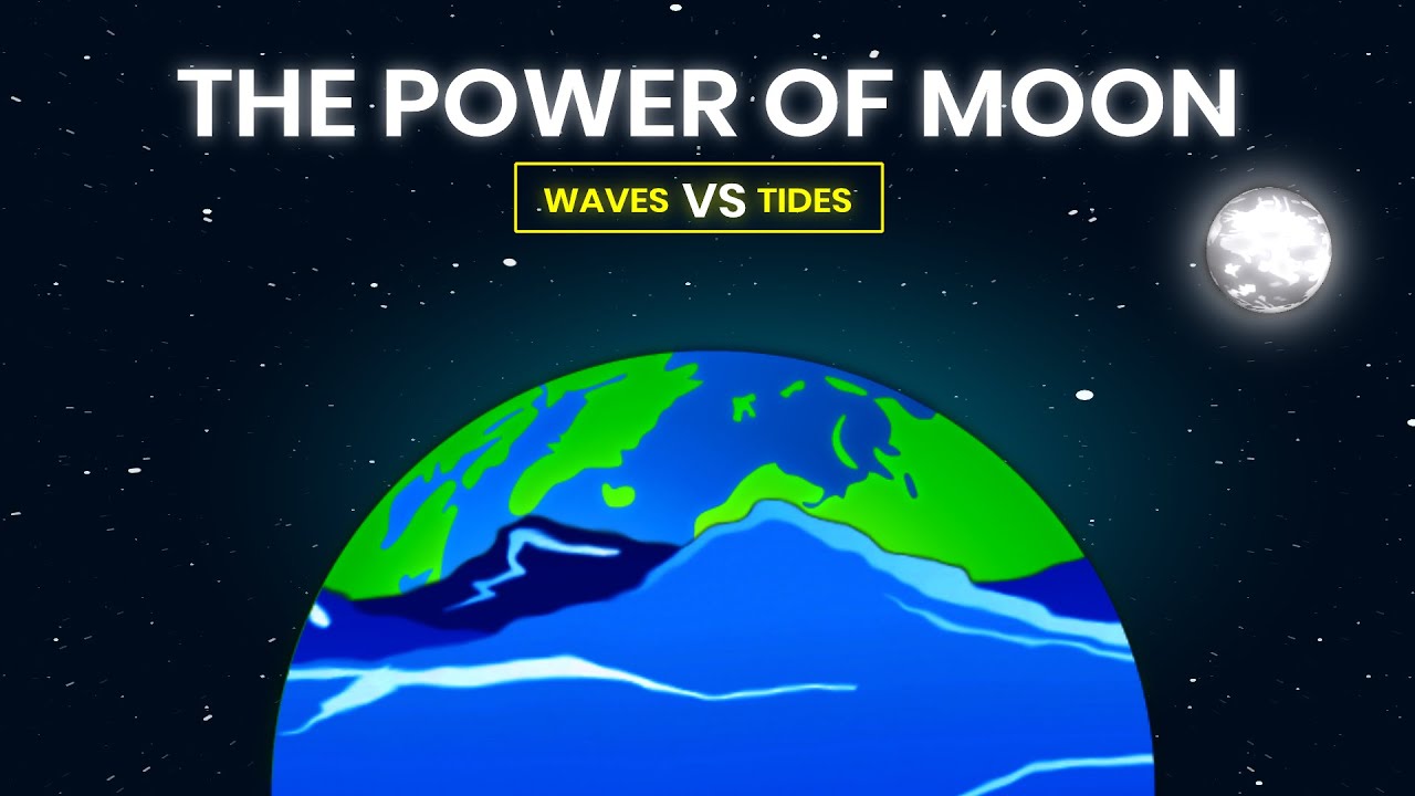 Which moon phases have the greatest effect on the cycle of tides?
