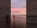 Amala Paul Latest Bikini Videos Amala Paul Enjoying At Kovalam Beach Actress Amala Paul Latest