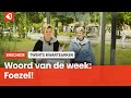 Het Twentse woord van de week: Foezel!