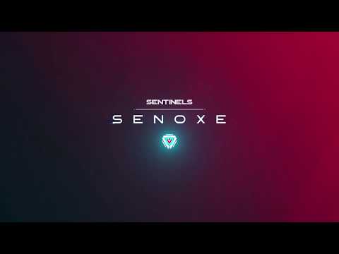 SEN senoxe | highlights #71