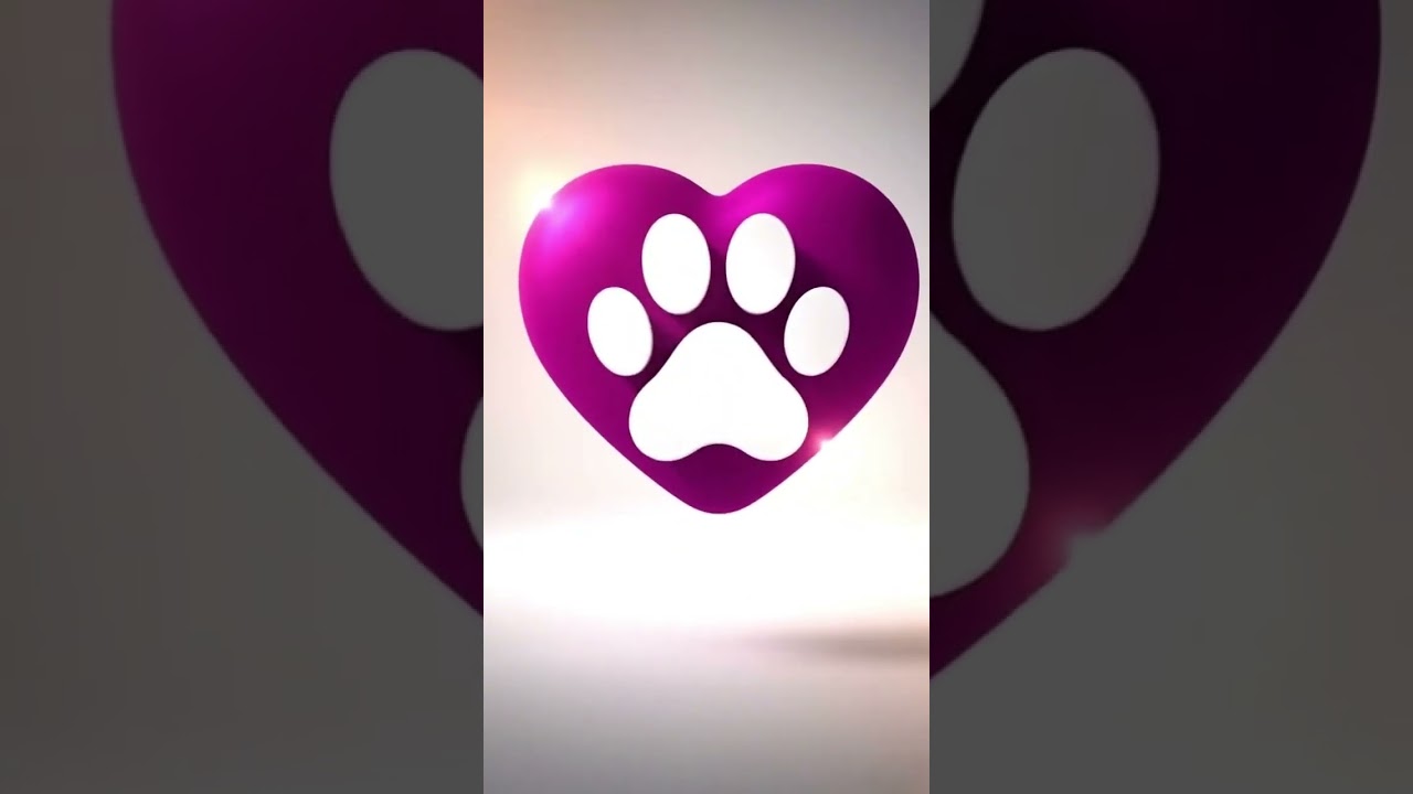 Cachorro raça SRD-ViraLata idade 2 anos nome Steve