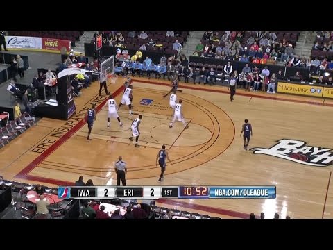 Highlights: Jarnell Stokes (8 points) vs. the BayHawks, 12/20/2014