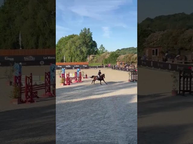 Cheval OC
