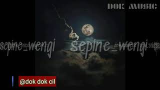 Download lagu Sela silvina-(sepine wengi)-music mp3