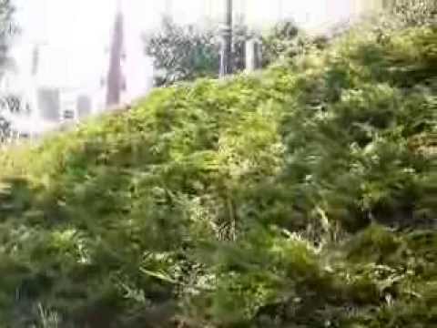 Fort Sewall In Marblehead, Ma.