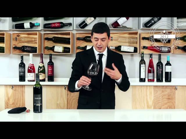 Vídeo relacionado con Baron de Lestac - DOP Bordeaux - Vino Tinto - Terra Vitis - 6 botellas x 75 cl