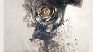 Cavo   Celebrity 2012