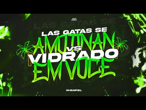 SI LAS GATAS SE AMOTINAN vs VIDRADO EM VOCE ➖ TIKTOK VIRAL REMIX ➖ sheafiel