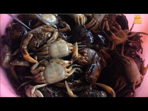 Traditional Khmer Food, Salty Crab, Fried Meal and more... | Asian Street Food Compilation Video