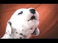 Cutest Puppies Howling Compilation 2014 [NEW]