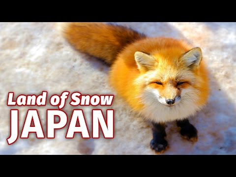 Why Japan is the Snow Capital of the World